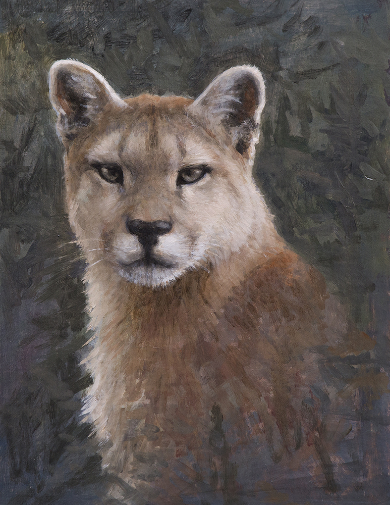 puma de la patagonia